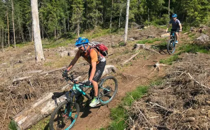 Guided mountain bike tour through the Voss hills