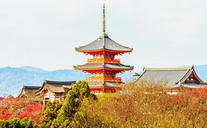 1-day tour to Kyoto and Nara Park from Osaka