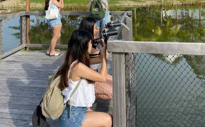 Desaru Coast birdwatching guided experience