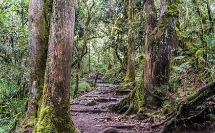 5 Day Mt. Meru Trekking