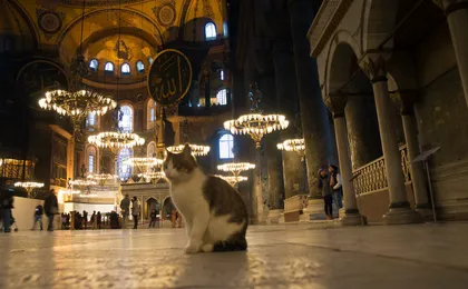 Unmissable Istanbul classics private guided tour