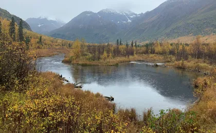 Chugach State Park summer valley and forest hike