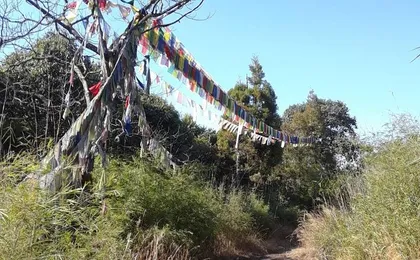 Godavari to Fulchoki Day Hike Near Kathmandu