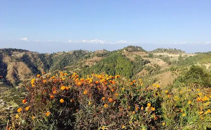 Private Day Tour - Sacred Journey to Namo Buddha