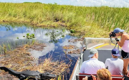 Everglades National Park nature walk & air boat ride
