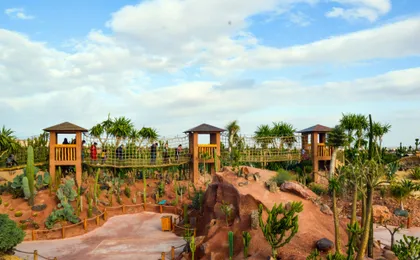 Agadir Corocoparc