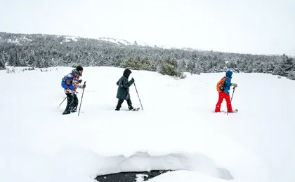 Advanced snowshoeing adventure in Anchorage