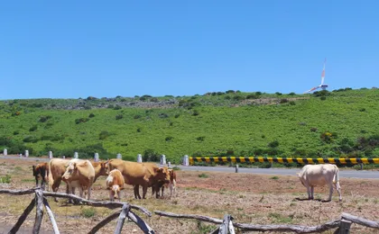 Madeira Northern Wonders 4x4 Tour
