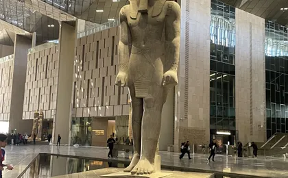 New Grand Egyptian Museum and Giza Pyramids from Cairo with Lunch