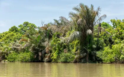 Janjanbureh 2-day tour with overnight stay in a traditional camp