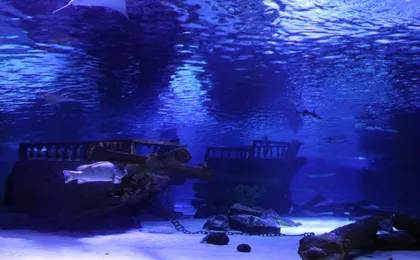 Antalya Aquarium with Shuttle