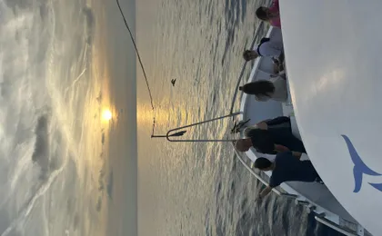 Pula dolphin-watching boat tour with dinner on board
