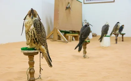 Historical Riyadh a self-guided audio walking tour