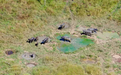 1-hour scenic flight tour of Kakadu from Jabiru