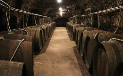 Luxury Wine Day Trip to Loire Valley with Tastings and Michelin lunch