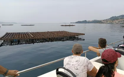 Vigo estuary catamaran tour with mussel tasting and wine