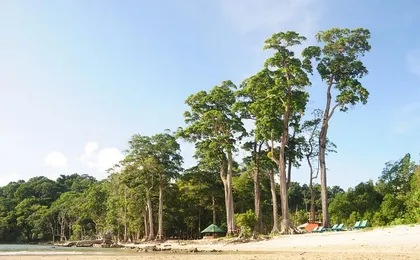 Andaman & Nicobar Islands Beach Paradise