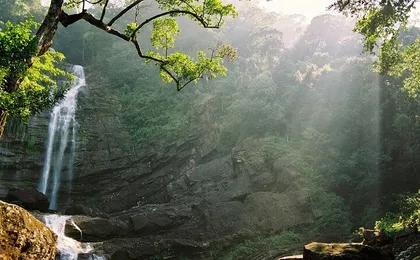 Sinharaja Rain Forest Tour from Hambantota