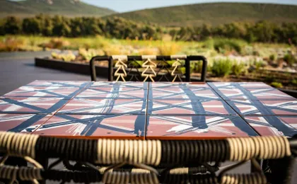 Guided vineyard tour with wine-tasting
