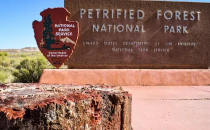Self-Guided Driving Tour of Petrified Forest National Park