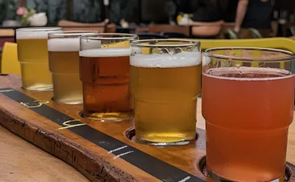 Albanian craft beer and meze tasting experience in Tirana