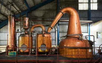Adults‑only Worthy Park Estate rum tour
