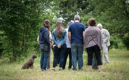 Burgundy truffle hunting demonstration and truffle lunch
