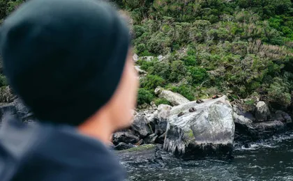 Milford Sound cruise experience