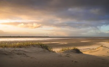 Day trip to the Island of Texel with a guide