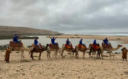 Camel Riding and Moroccan Tea on Tamri Beach from Agadir or Taghazout