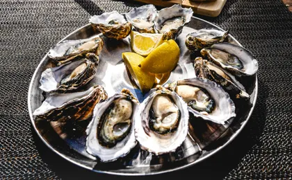 Bruny Island safaris, local food tasting and lighthouse tour