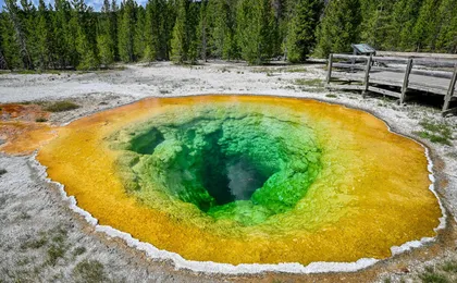 Old Faithful Self-Guided Walking Audio Tour