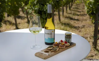 Guided Vineyard Tour and Wine Tasting on Lipari Island