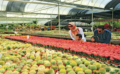 Private nature trip to Cameron Highlands from Kuala Lumpur