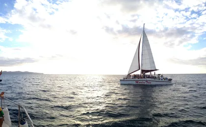 Pura vida sunset cruise