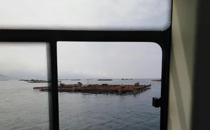 Vigo estuary catamaran tour with mussel tasting and wine
