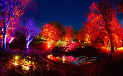 Admire the autumn lights at Sofiero Park