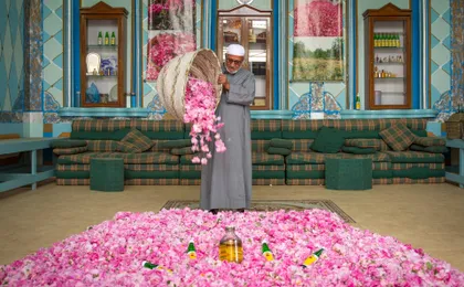 Full-day journey to Taif with lunch