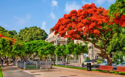 Saturday guided walking tour of Florentin