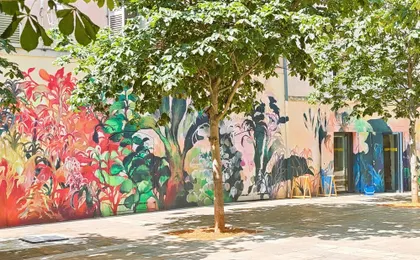 Hidden Toulon historic centre walking tour with surprising stories