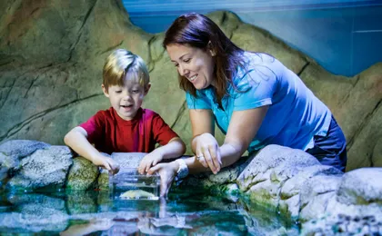 Entrance ticket SEA LIFE Scheveningen