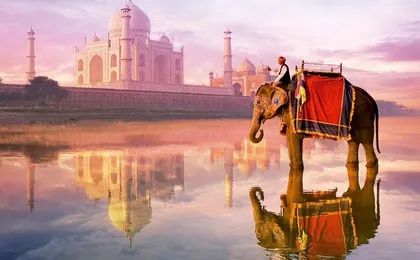 Exclusive: Taj Mahal & Abhaneri Step Wells Tour From Jaipur Including Lunch