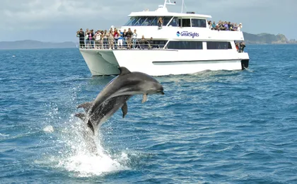 Small group day tour to Bay of Islands from Auckland
