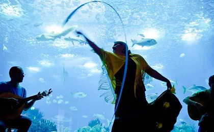 Lisbon Oceanarium entrance tickets