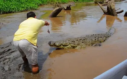 Jungle Crocodile Safari & Jaco Beach from San Jose