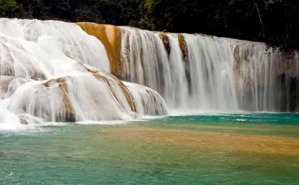 Palenque archaeological site and jungle waterfalls full-day tour from Tuxtla Gutiérrez