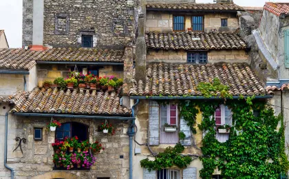 In the Footsteps of Van Gogh in Provence from Avignon