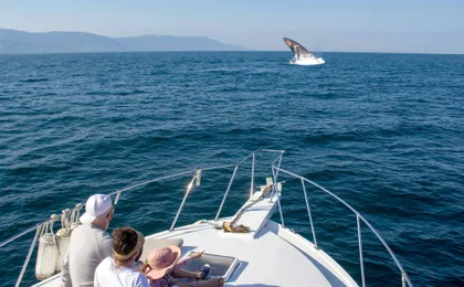 Puerto Vallarta whale-watching catamaran tour
