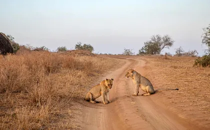 Two-day Chobe safari and Victoria Falls escape