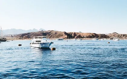 Snorkeling Trip At Satayh Dolphin Reef